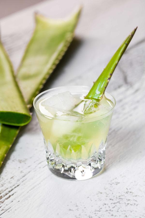 ALOE VERA MARGARITA