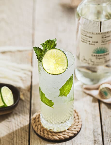 Casa Mojito